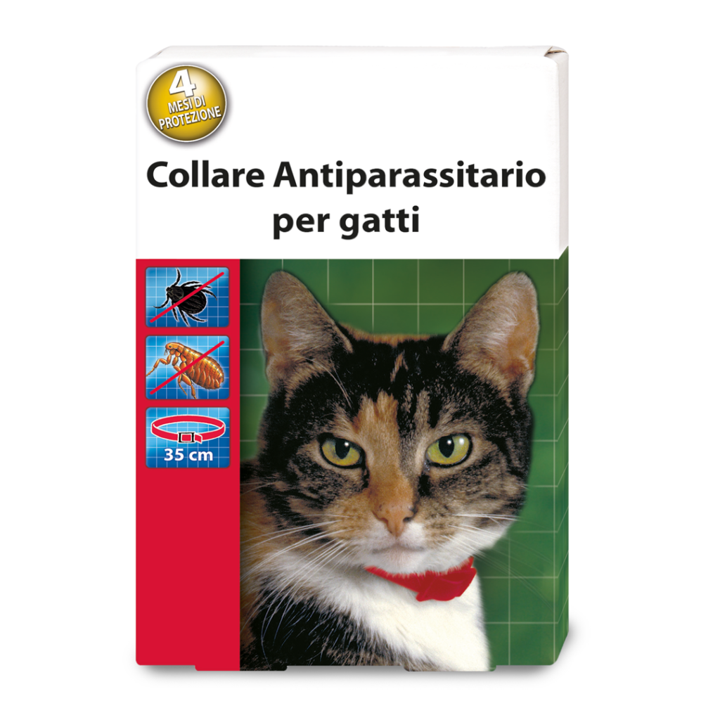 Collare Gatto