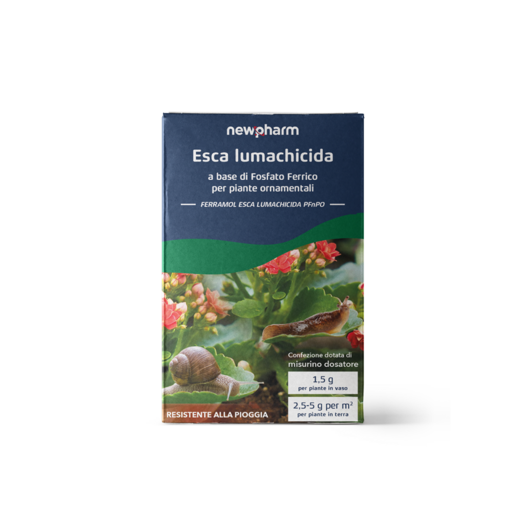 Esca lumachicida Esca lumachicida