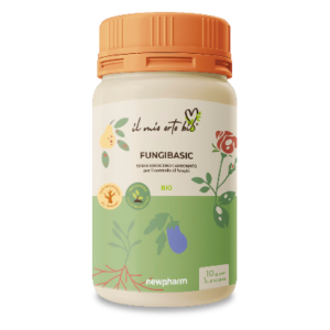 Fungibasic