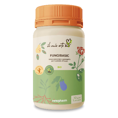 Fungibasic Fungibasic