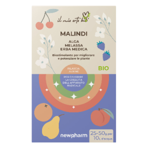Malindi