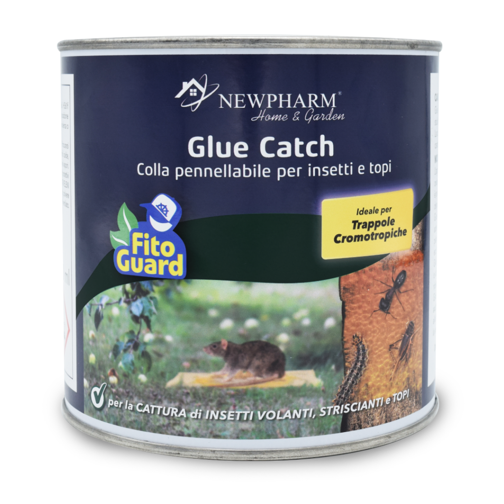 Glue Catch Glue Catch