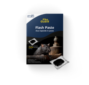 Flash Paste