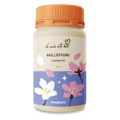 Millefiori Millefiori