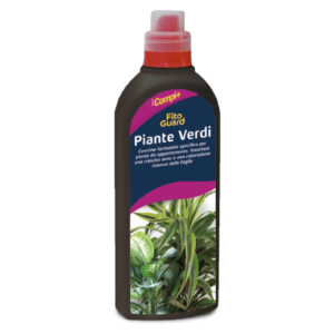 Piante Verdi