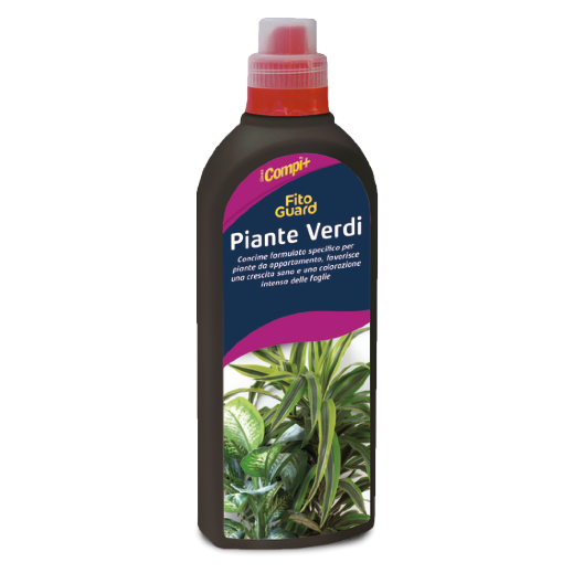 Piante Verdi Piante Verdi