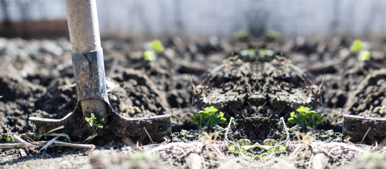 Terreno in preparazione e concimazione per l'orto naturale e biologico