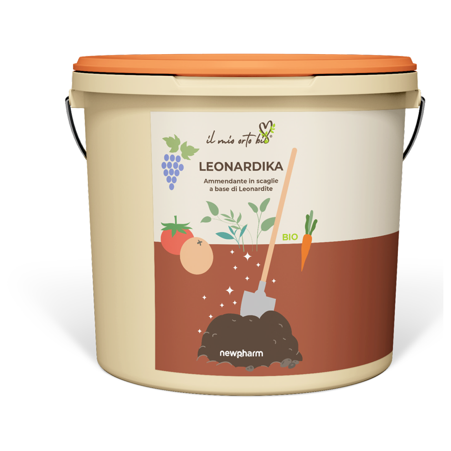 Leonardika Leonardika