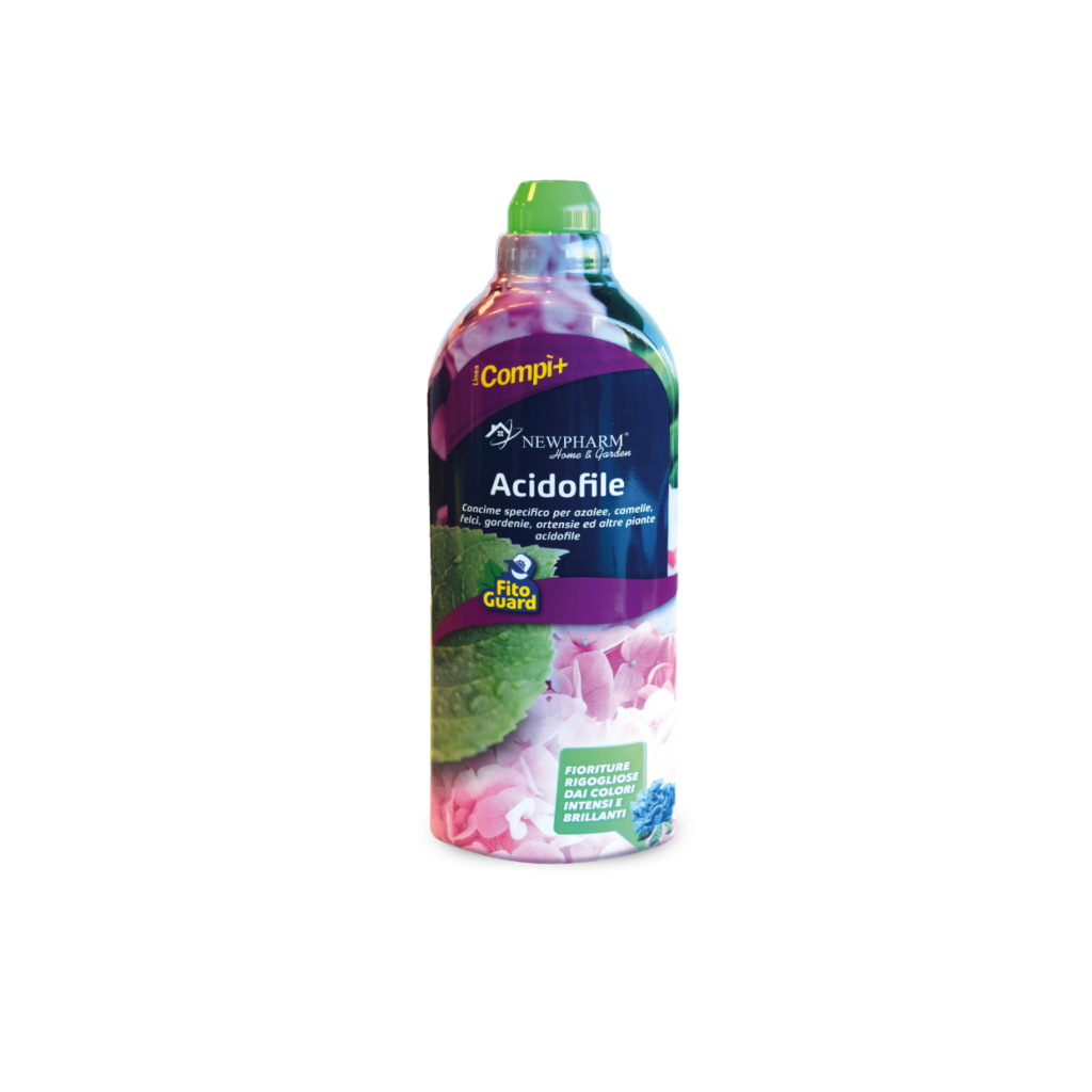 Acidofile Acidofile