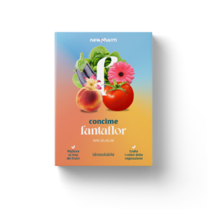 Fantaflor