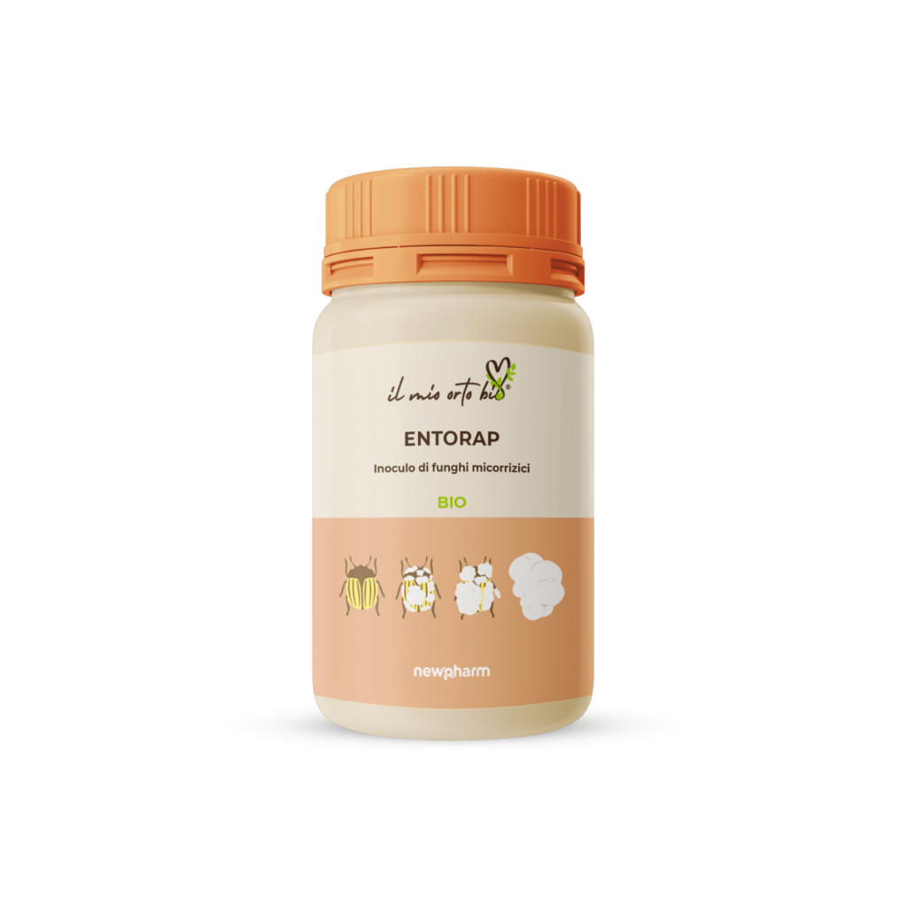 Entorap Entorap