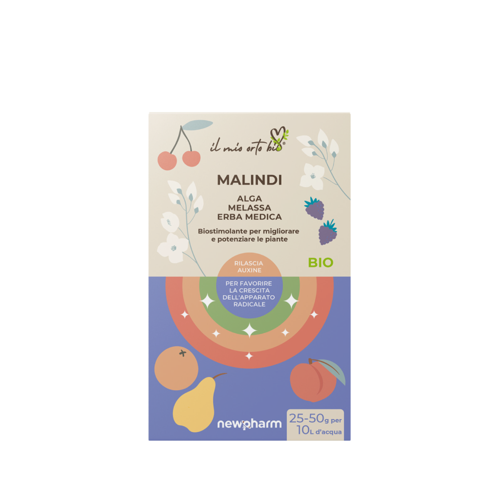 Malindi Malindi