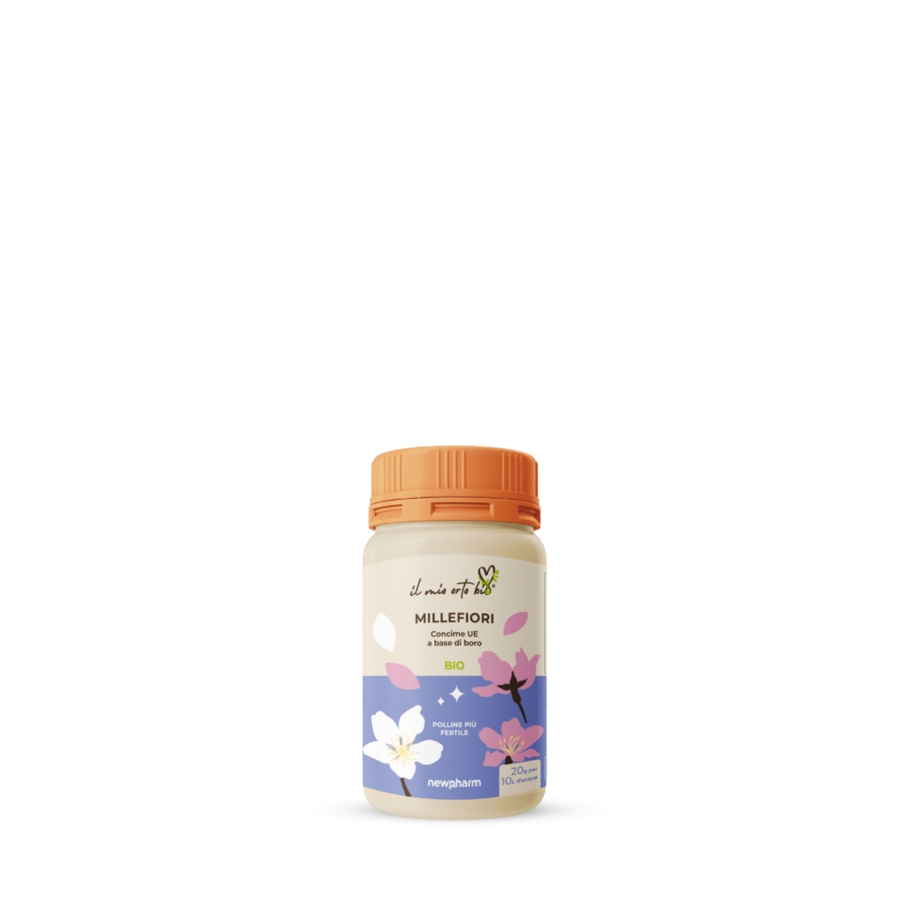Millefiori Millefiori