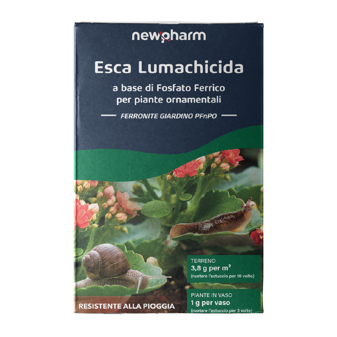 Esca lumachicida