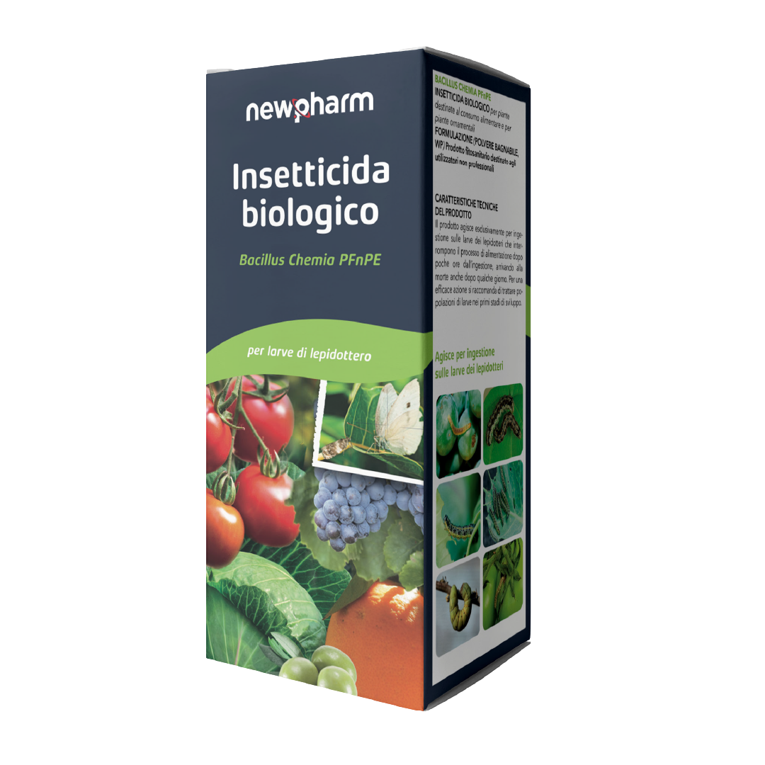 Insetticida Bacillus Insetticida Bacillus