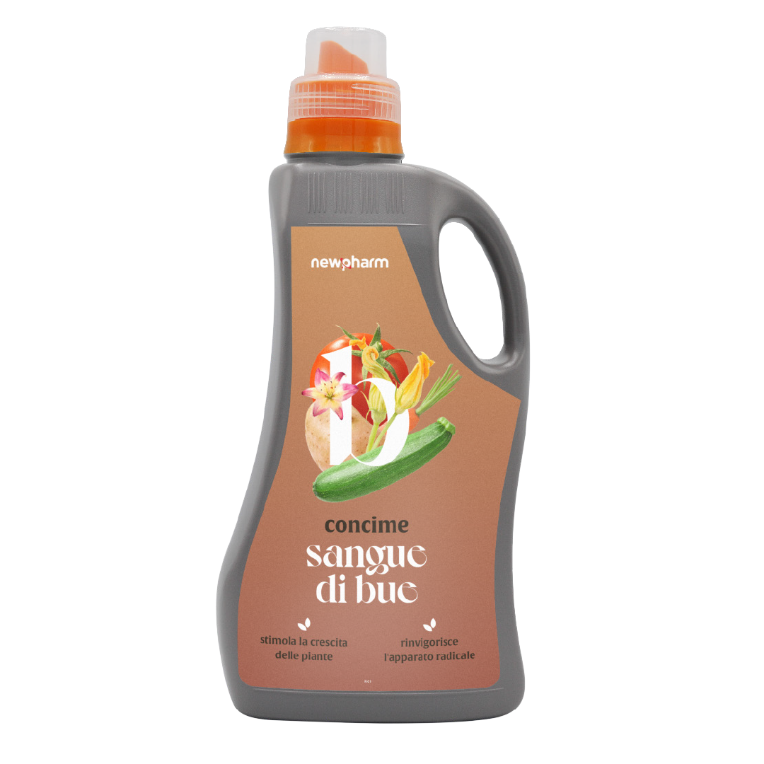 Sangue di Bue Sangue di Bue