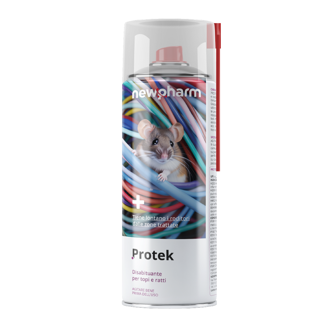 Protek Protek