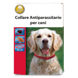 Collare Cane