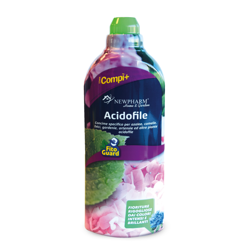 Acidofile Acidofile