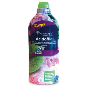 Acidofile