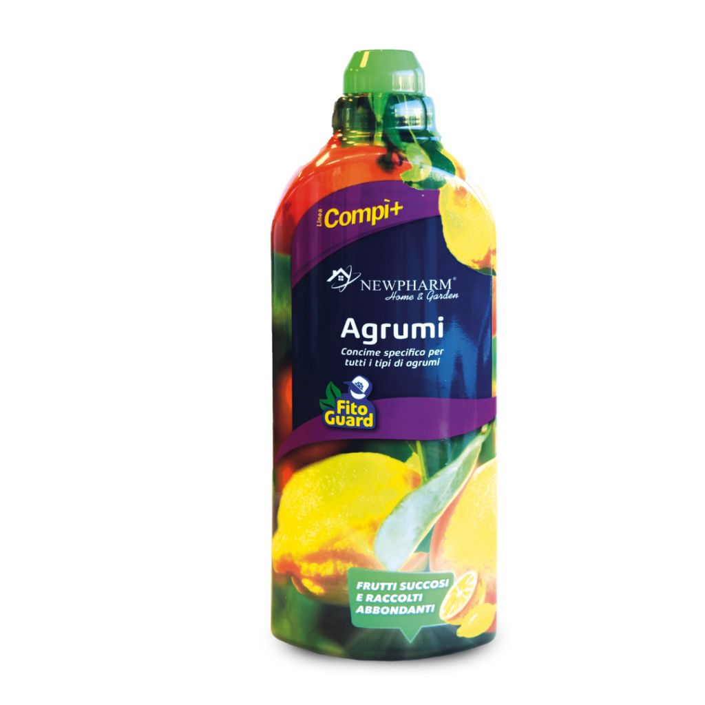 Agrumi Agrumi