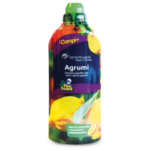 Agrumi