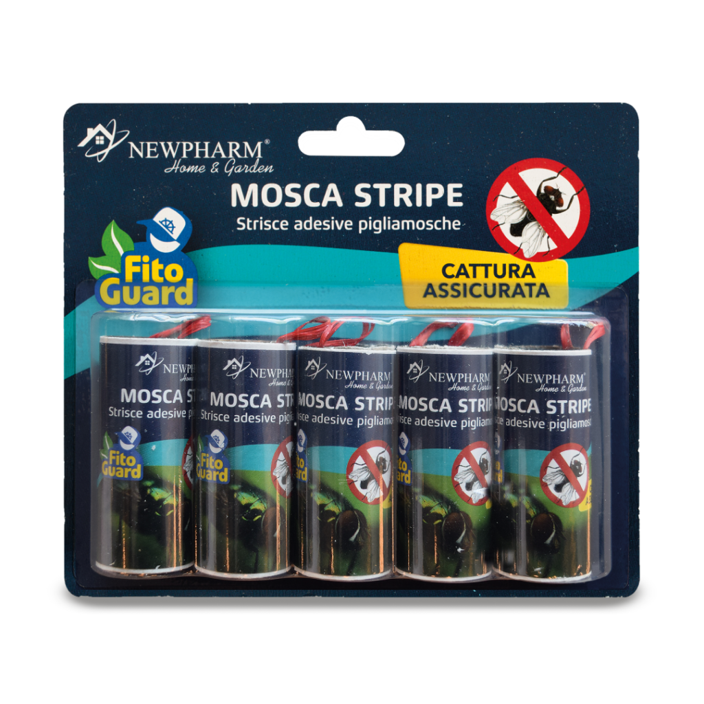 Mosca Stripe Mosca Stripe