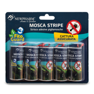 Mosca Stripe