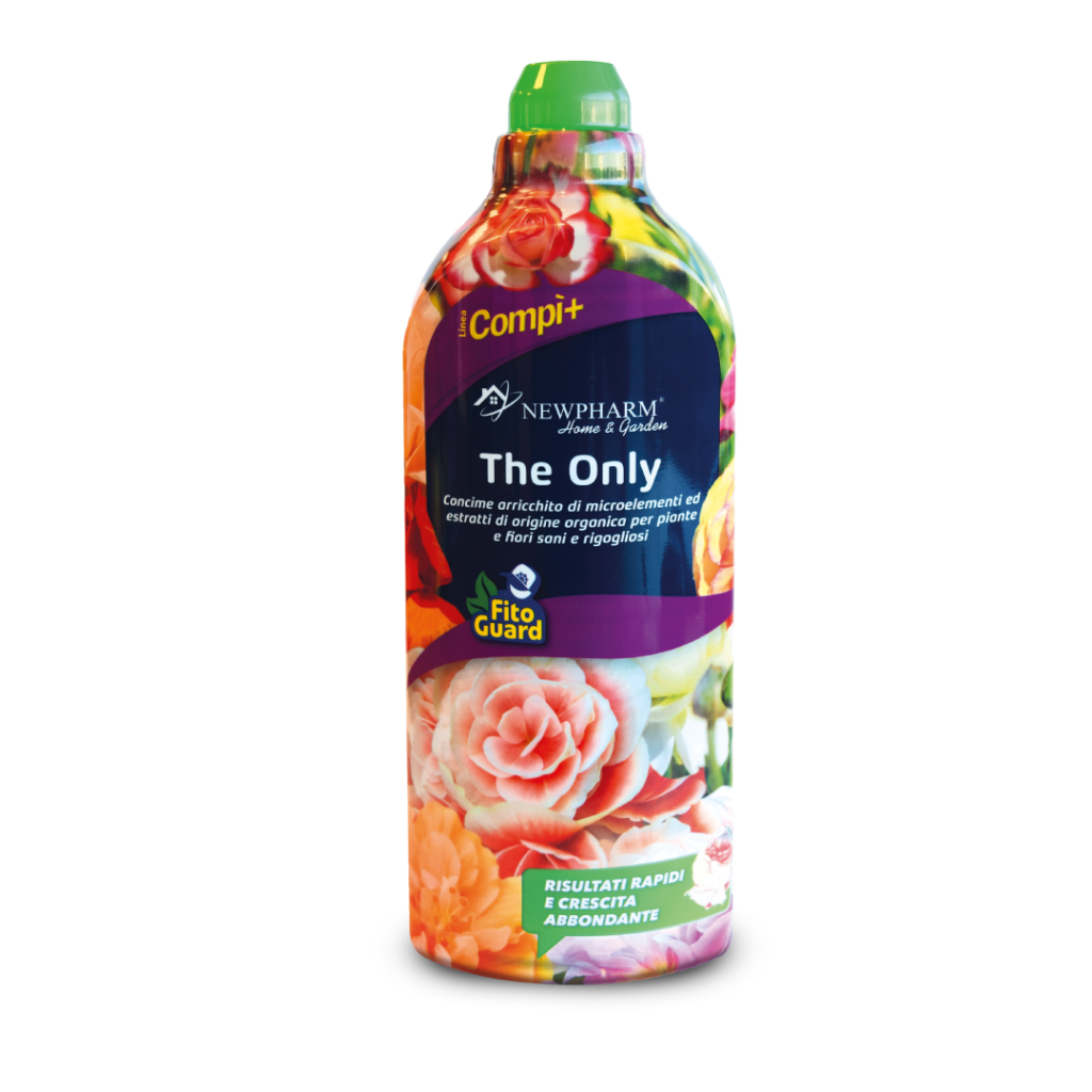 The Only The Only