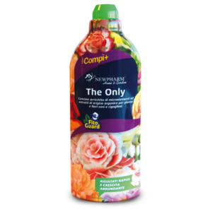 The Only